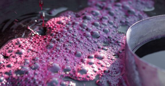 Filtration de vin professionnelle et écoresponsable près de Bordeaux