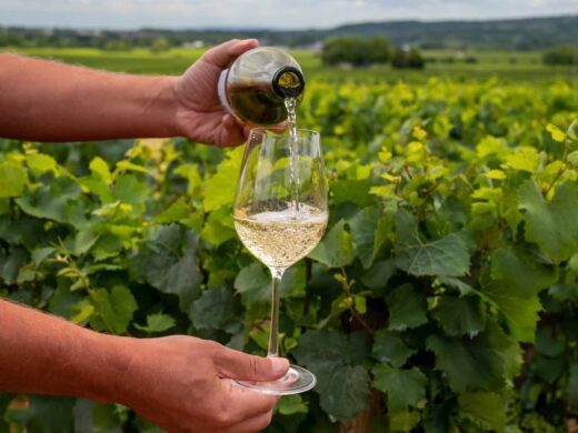 Prestataire Vinicole Itinérant en Nouvelle Aquitaine : Une équipe d’experts au service de vos vins