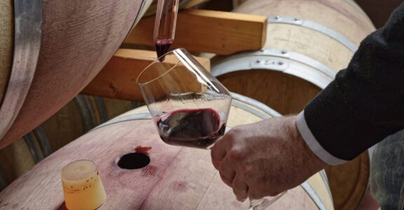 Osmoseur Ethyl Phénol : vinification de qualité près de Bergerac